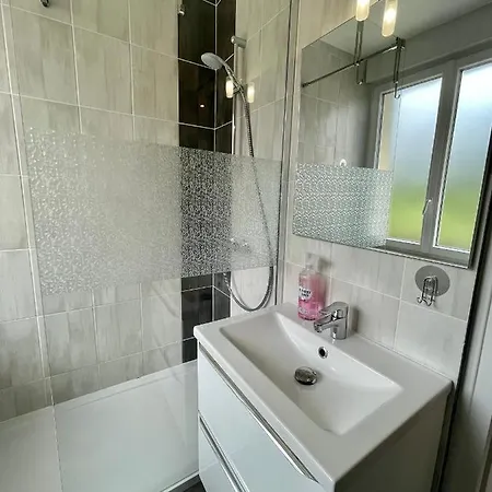 Apartment Appart Plaisance, Classe 3 Etoiles Avec Vue Directe Sur Le Gerardmer